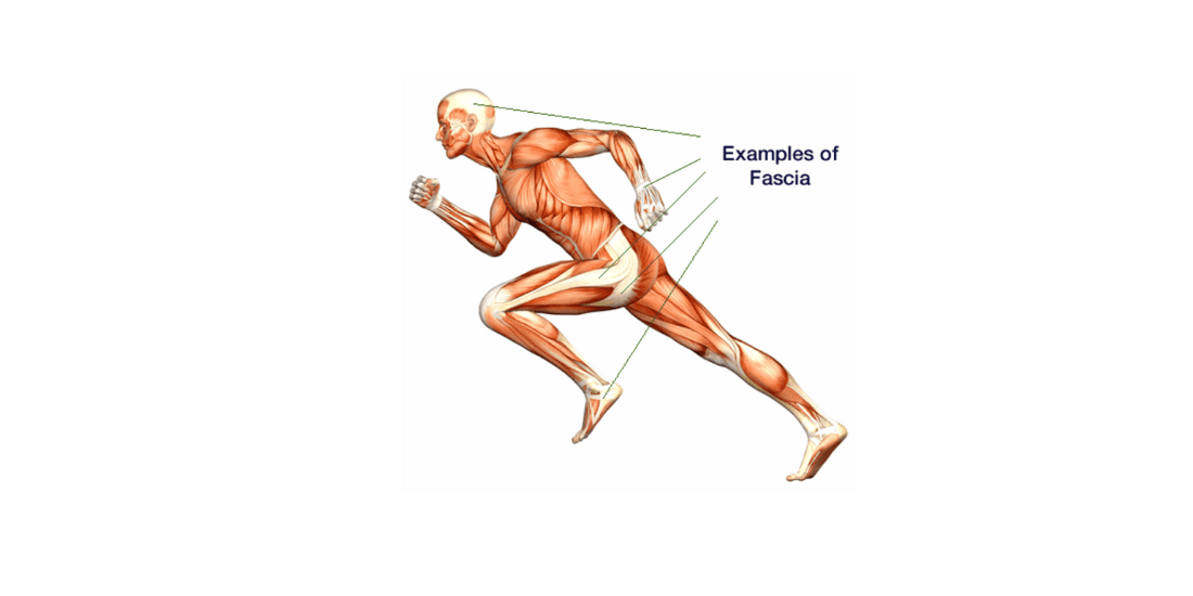 Unlocking Back Pain Relief: Could Myofascial Restriction Be the Key?