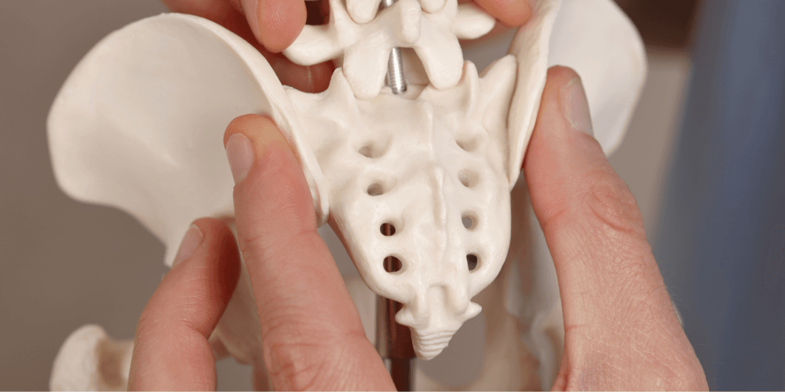 Understanding Coccyx Pain - Our Osteopath Answers Your FAQs